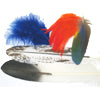 Feathers, Fans, Plumes