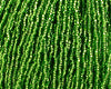 11/0 Czech Seed Beads, 1 Hank - Lt Green Silver Lined