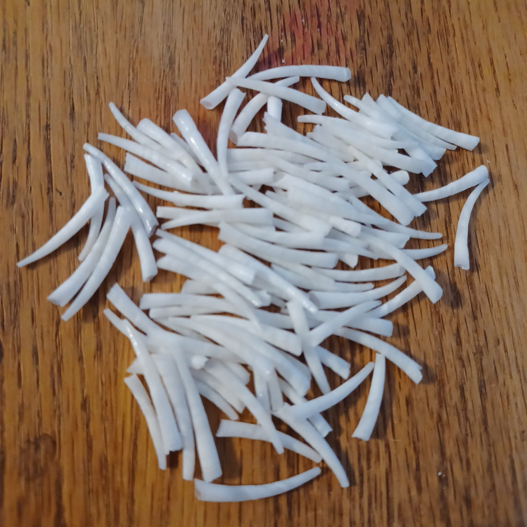 Dentalium Shells, Smooth - Sorted 3/4"-1"