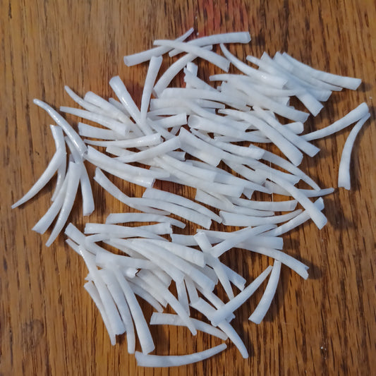 Dentalium Shells, Smooth - Sorted 3/4"-1"