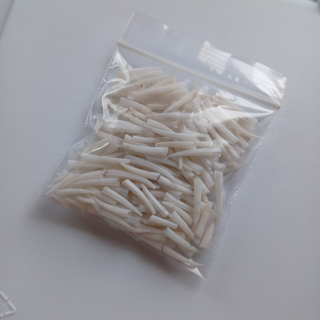 Dentalium Shells, Ridged - 1oz Unsorted